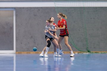 Bild 238 - wCJ TSV Ellerbek - AMTV Hamburg 2 : Ergebnis: 25:20
